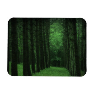 Zaubermagazin Magnet
