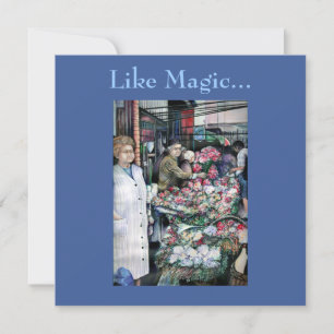 Zaubermoment auf dem Misloc-Markt