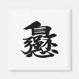 Zauberplatz für chinesische Wörter Magnet