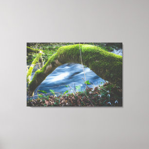 Zauberwald Leinwanddruck