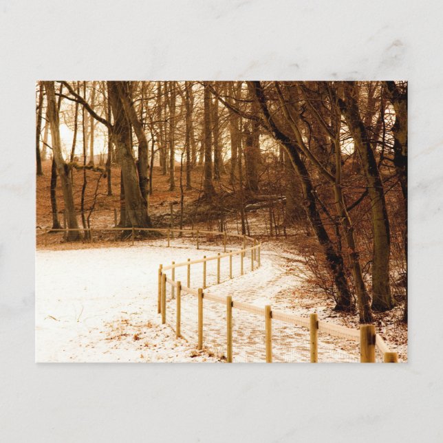 Zaun im Wald auf der Postkarte (Vorderseite)