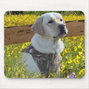 Zaun Labrador retrievers Mousepad