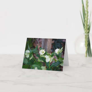 Zaun mit weißen Blumen Dankeskarte