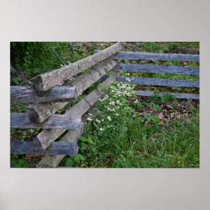 Zaun mit Wildblumen Poster