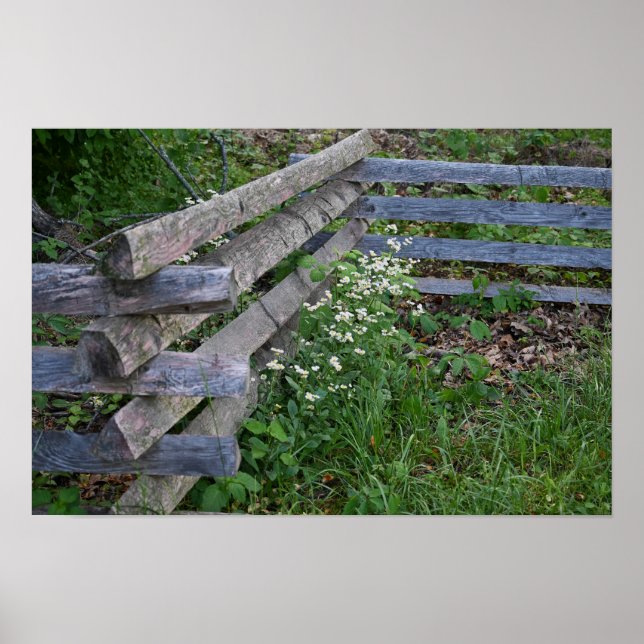 Zaun mit Wildblumen Poster (Vorne)