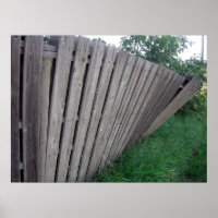 Zaun