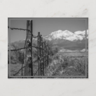 Zaun Postkarte