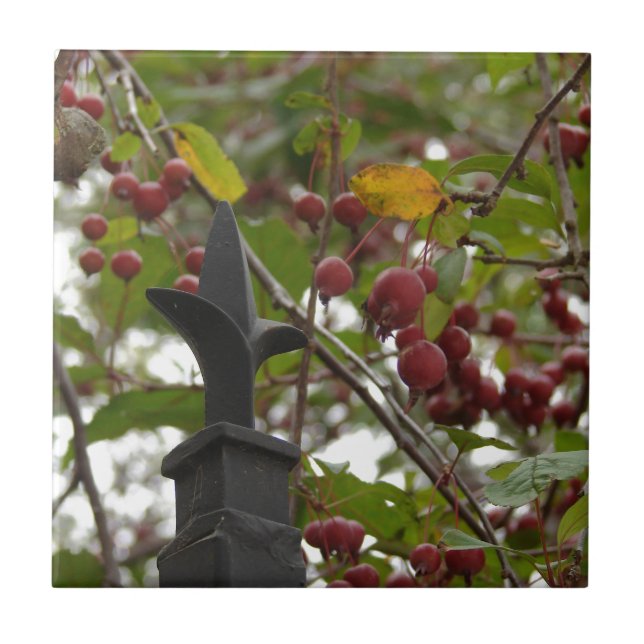 Zaun und Crabapples Fliese (Vorderseite)