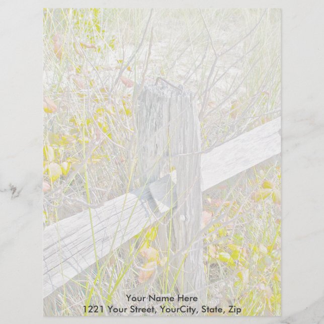 Zaun und Gift IBSP Letterhead Briefbogen (Vorderseite)