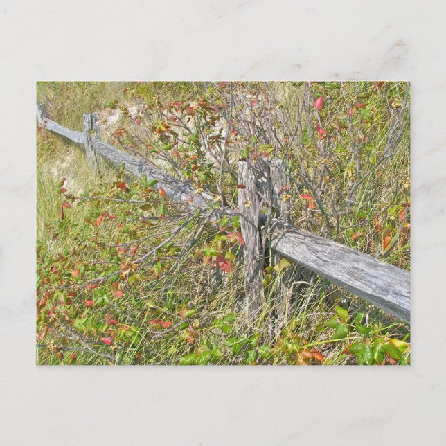 Zaun und Gift IBSP NJ-Koordinationsgegenstände Postkarte (Vorderseite)