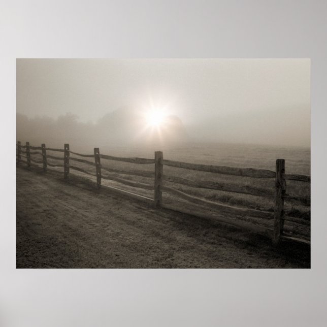 Zaun und Sonnenbrand durch Nebel bei Sharon Poster (Vorne)