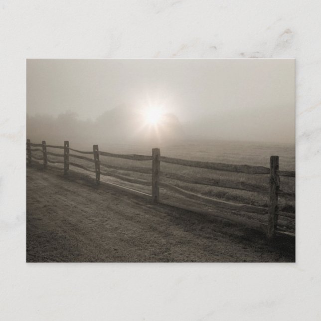 Zaun und Sonnenbrand durch Nebel bei Sharon Postkarte (Vorderseite)