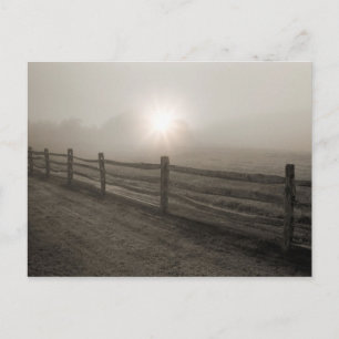 Zaun und Sonnenbrand durch Nebel bei Sharon Postkarte