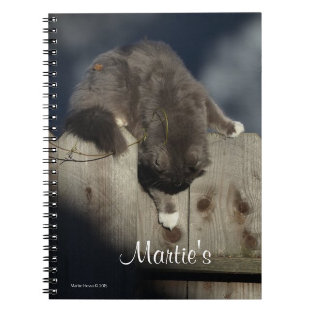 Zaunkatze (18) notizblock (Vorderseite)