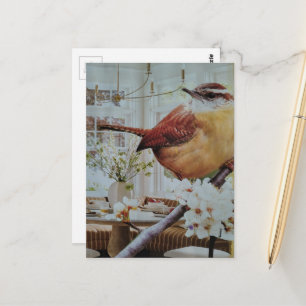 Zaunkönig im Wohnzimmer Surrealer Collage Postkarte