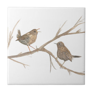 Zaunkönig-Vogel-Wildlife-Aquarellkunst Süß Fliese