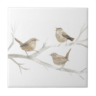 Zaunkönig-Vogel-Wildlife-Aquarellkunst Süß Fliese