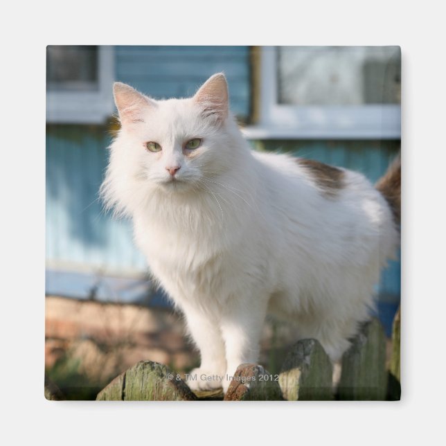 Zaunportrait Magnet (Vorne)