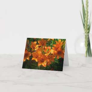 Zazzle Orange Blank Notecard Karte