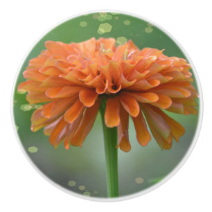 Zazzled Zinnia Keramik Knob Keramikknauf