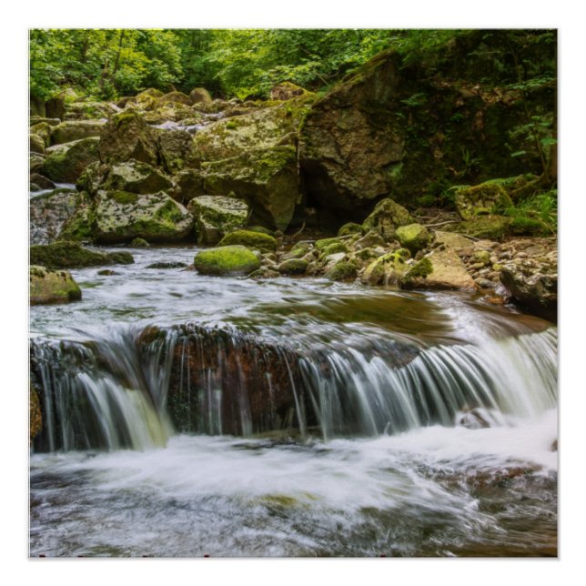 Zazzwasser Naturposterfarbe Poster (Vorderseite)