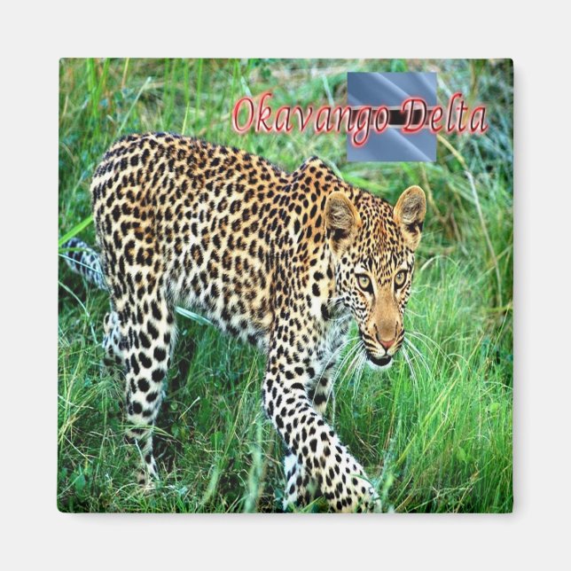 zBW007 OKAVANGO Delta, Ghepard BOTSWANA, Kühlschra Magnet (Vorne)