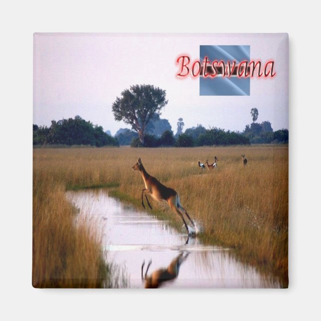 zBW011 BOTSWANA, Flying Female Lechwe, Kühlschrank Magnet (Vorne)