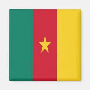 zCM001 KAMERUN FLAG, Afrika, Kühlschrank Magnet