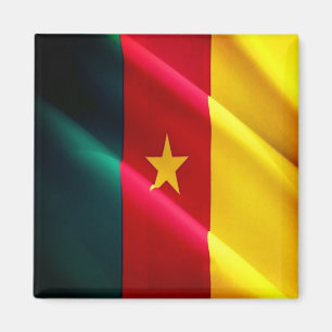 zCM02 KAMERUN, Waving Flag, Afrika, Kühlschrank Magnet