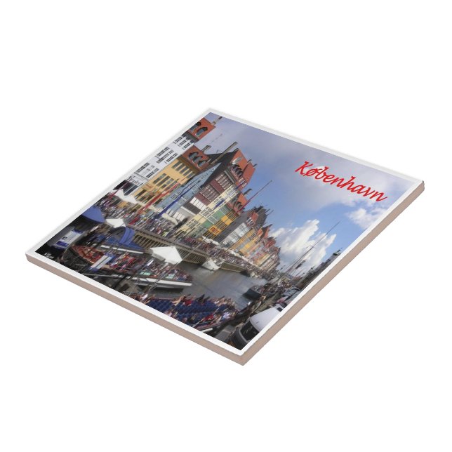 zDK005 Kopenhagen Dänemark, Fliese (Seite)