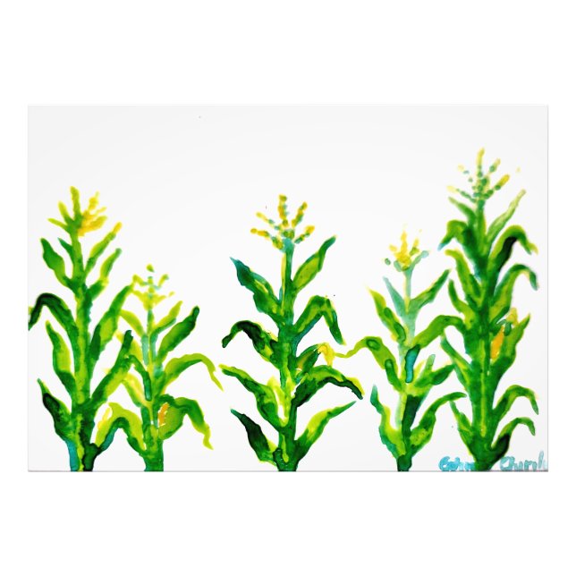 Zea mays fotodruck (Vorne)
