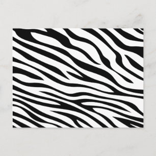 Zebbra Stripes Schwarzweiss Postkarte
