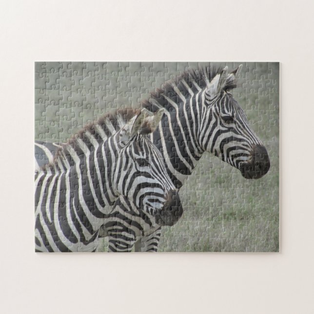 Zebra (Horizontal)