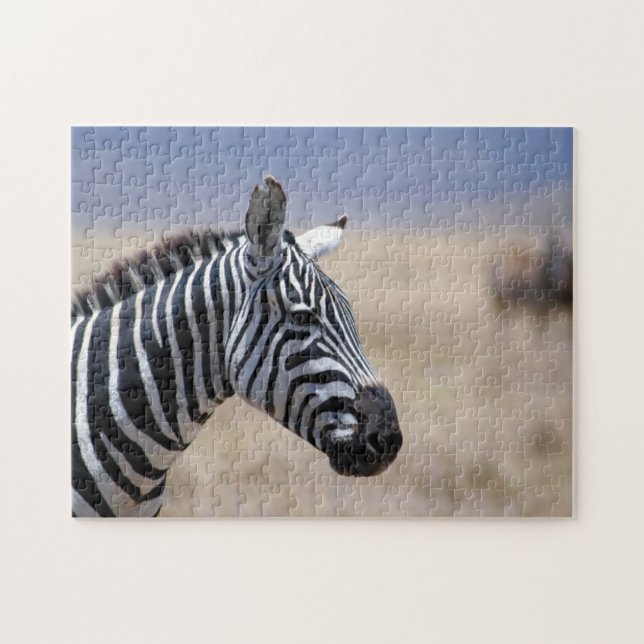 Zebra (Horizontal)