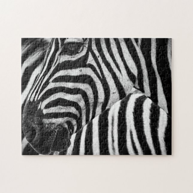 Zebra (Horizontal)