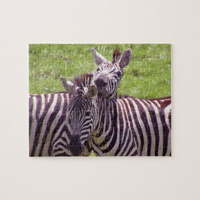 Zebra (Horizontal)