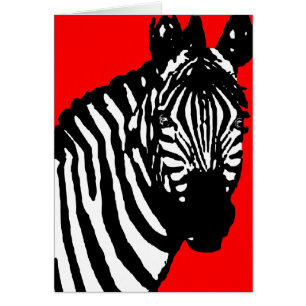 Zebra.