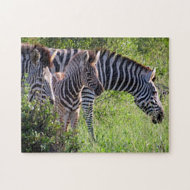 Zebra (Horizontal)