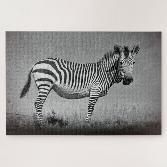 Zebra (Horizontal)