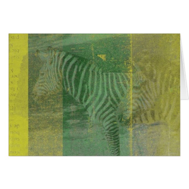 Zebra (Vorderseite (Horizontal))