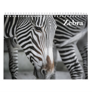 Zebra 2024 kalender
