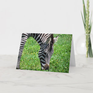 Zebra (2412) - Grußkarte Karte