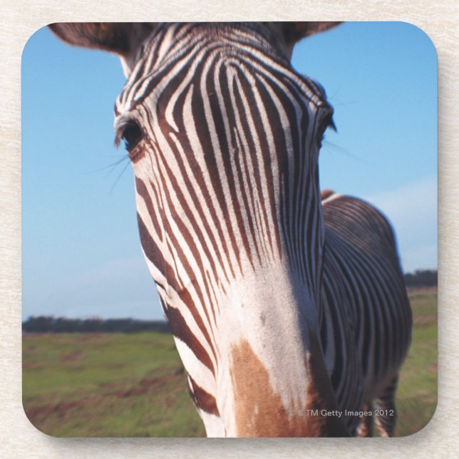 Zebra 2 getränkeuntersetzer (Vorderseite)