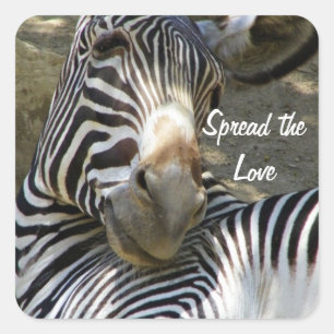 Zebra, alle Fälle_ Quadratischer Aufkleber
