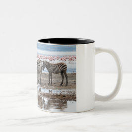 Zebra an See Nakuru Kenia Tasse