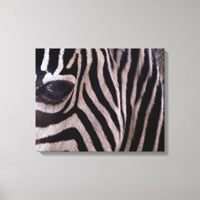 Zebra Art Leinwanddruck (Vorderseite)