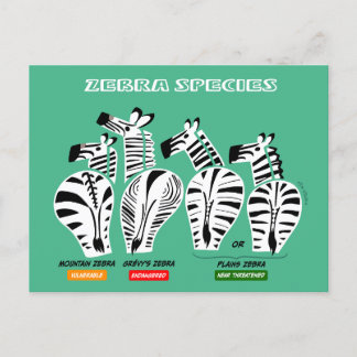 Zebra-Arten Postkarte