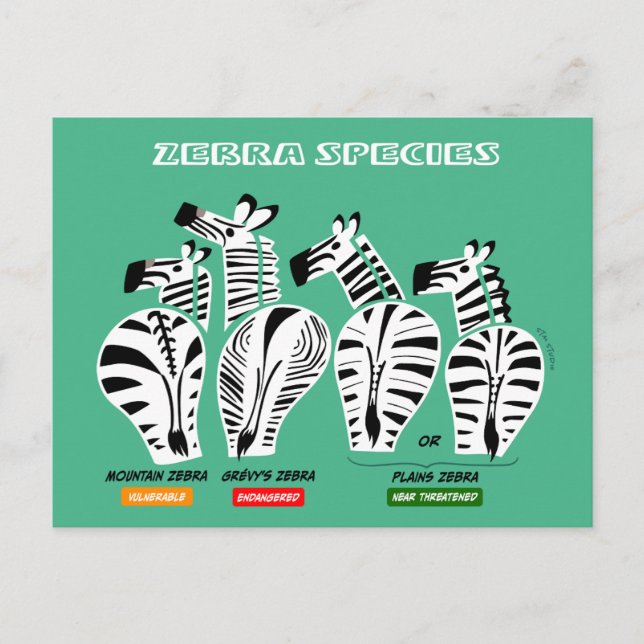Zebra-Arten Postkarte (Vorderseite)