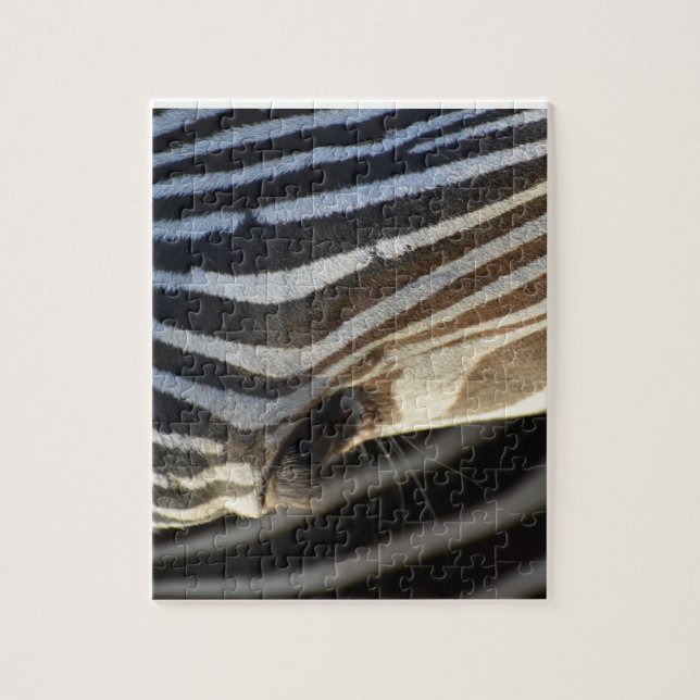 Zebra-Augen-Rätsel (Vertikal)