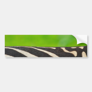 Zebra Autoaufkleber